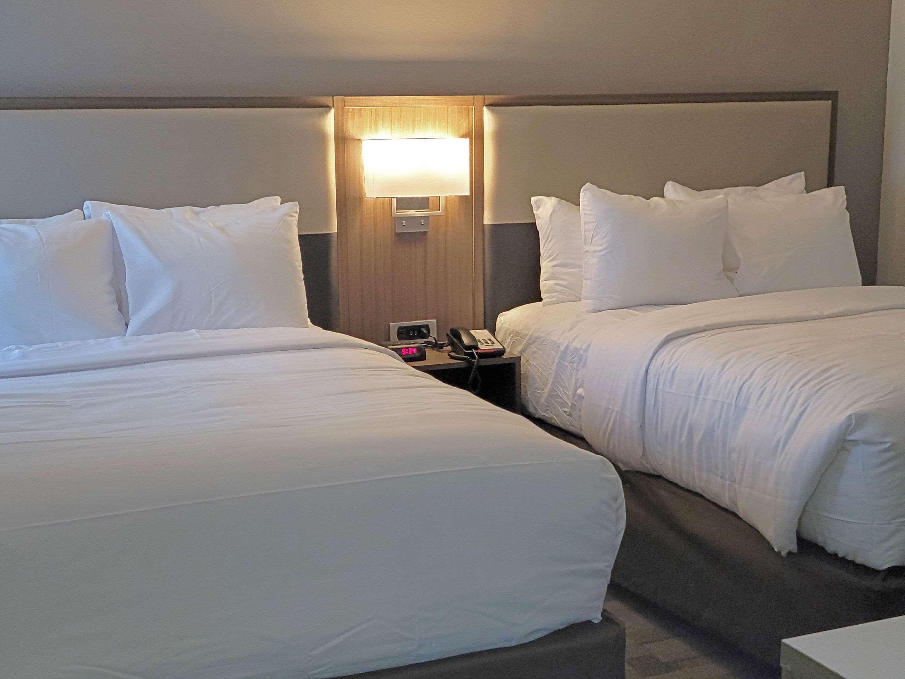 Comfort Inn & Suites Wyomissing-Reading Exteriér fotografie